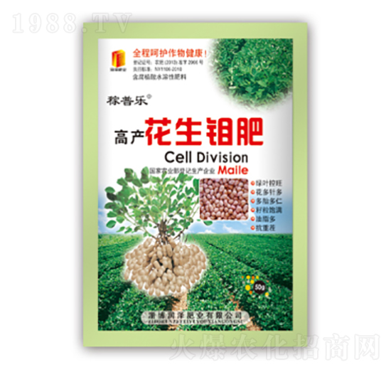 高產(chǎn)花生鉬肥-稼普樂-潤澤肥業(yè)