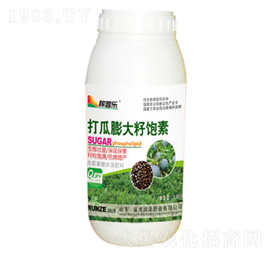 打瓜膨大籽飽素-稼普樂(lè)-潤(rùn)澤肥業(yè)