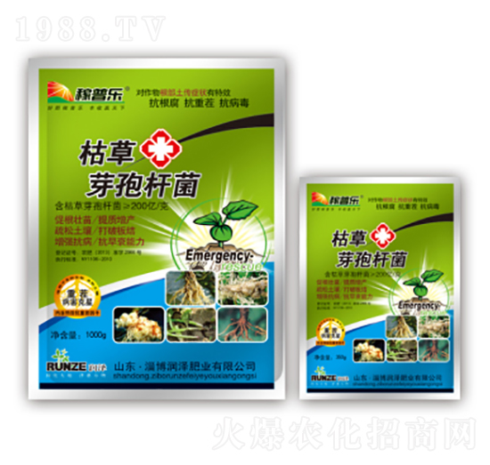 枯草芽孢桿菌-稼普樂-潤澤肥業(yè)