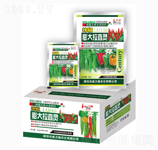 �����ֱ�`-����ʩ