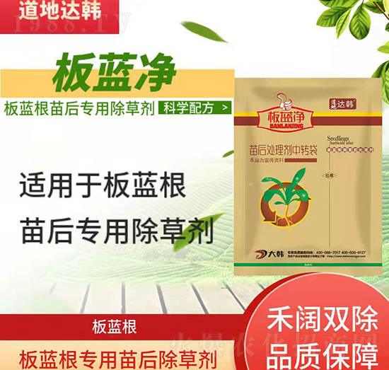 板藍(lán)根除草劑-板藍(lán)根苗后-板藍(lán)根專用-板藍(lán)凈-大韓