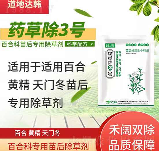 �ٺ��S�����T�����݄�-�ٺ��S�����T�����-�ٺ��S�����T������-ˎ�ݳ�3̖-���n