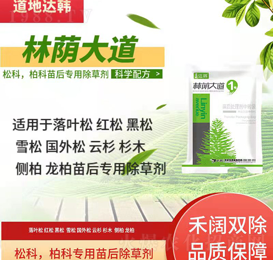 �ɿưؿƳ��݄�-�ɿưؿ����-�ɿưؿƌ�(zhu��n)��-���a���1̖(h��o)-���n