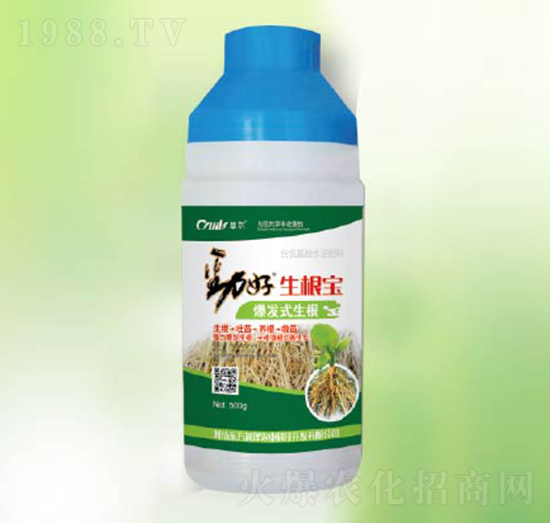 ������-�|������