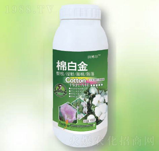 �ް׽�-�|����(r��n)��