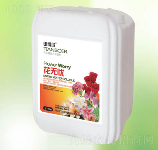 ���o�n-�|������