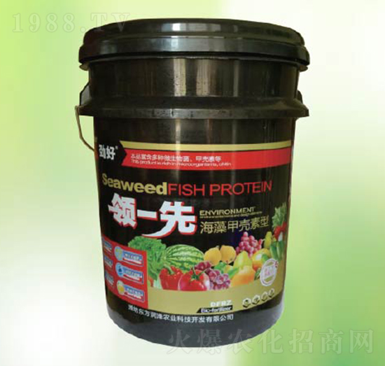 ����ך�����-�|������