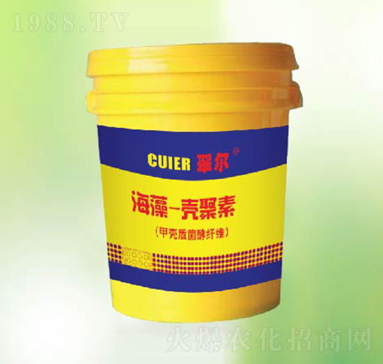 ���嚤����-�|������