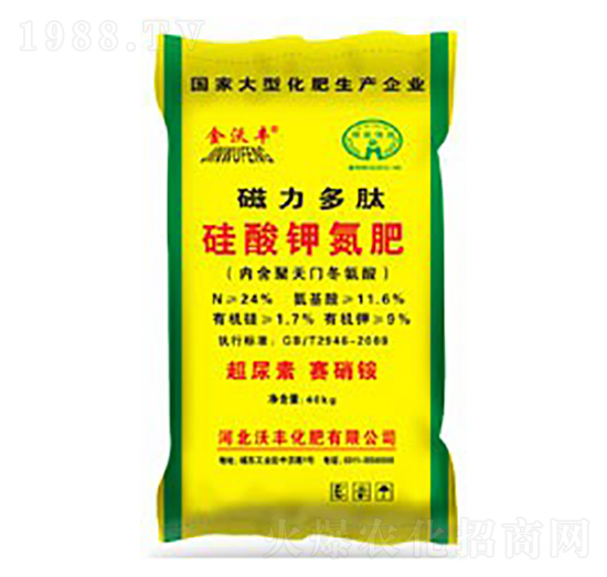 �������Ĺ���⛵���-�����S-���S����