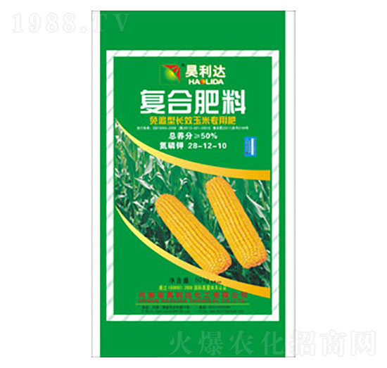 ���׌��Ï�(f��)�Ϸ���28-12-10-�d�l(f��)����_(d��)