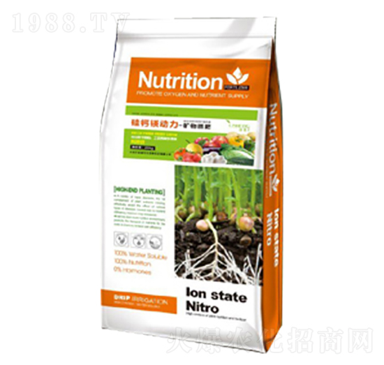 ��΢���V���-���}�V����-��������