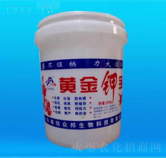 �S���-��������