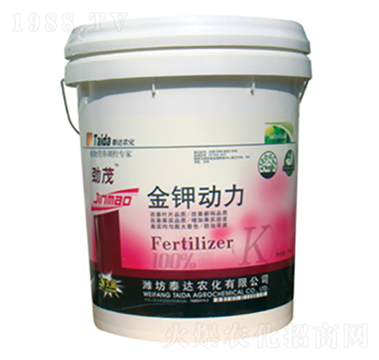 ��⛄���-̩�_�r(n��ng)��