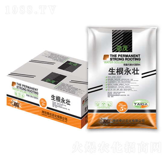 ��������-̩�_�r��