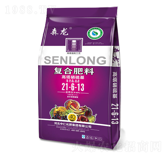 ����������ͺϷ���21-6-13-ɭ��-���ʼ��F