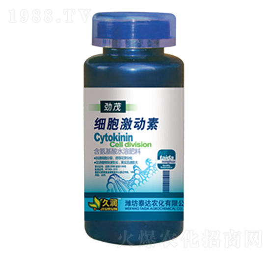 ����������-̩�_�r(n��ng)��