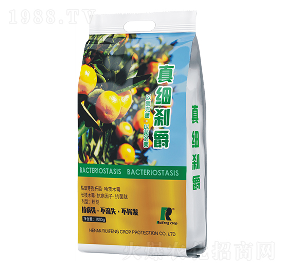 �漚(x��)�x��-�J�S����