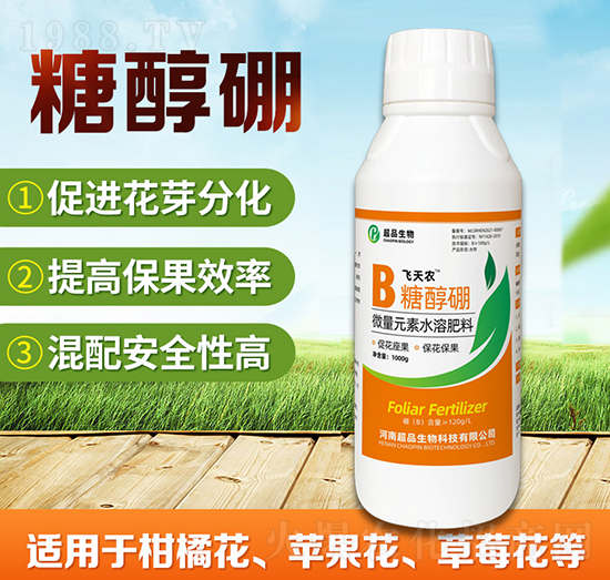 �Ǵ���-��Ʒ����