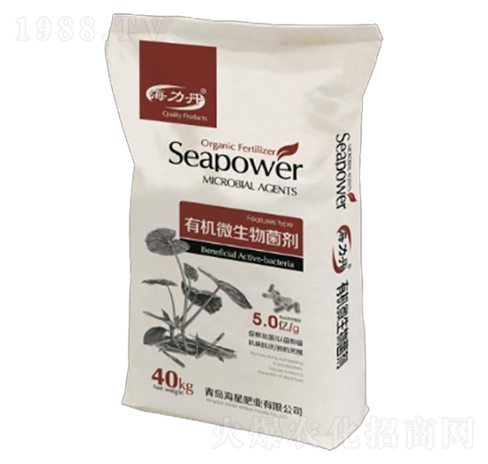 �ЙC΢�������-���ǷʘI(y��)