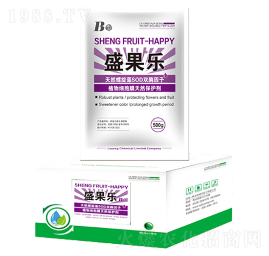 ʢ����-�G��