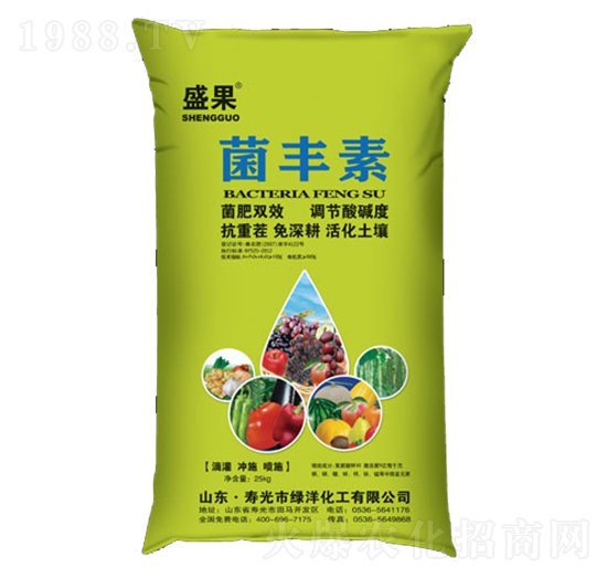 ʢ�����S��-�G��