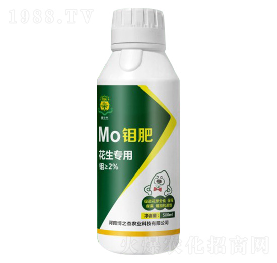 ���������f��-�S�՘�