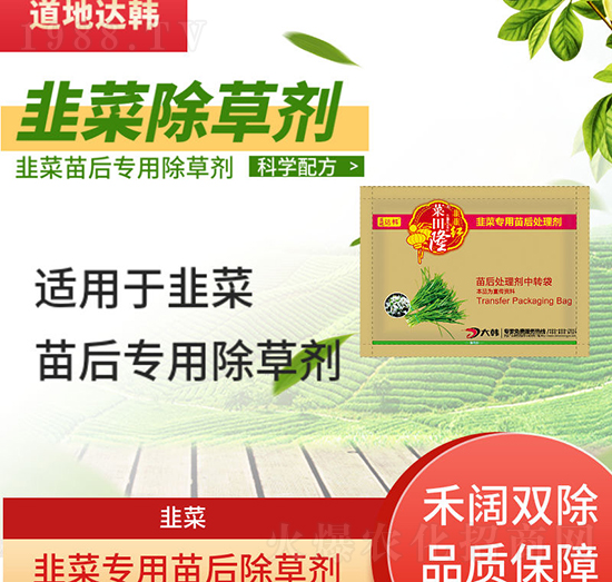 �²˳��݄�-�²����-�²ˌ���-����¡-���n