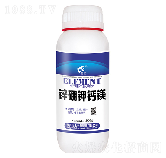 1000g�\����}�V-���SԴ�ʘI(y��)