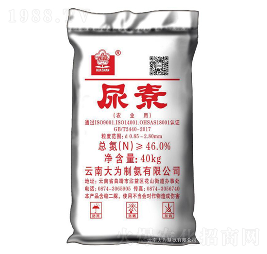 40kg����-����ư�