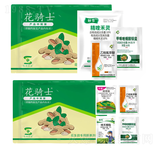 ��������݄�-���Tʿ-�S�՘�