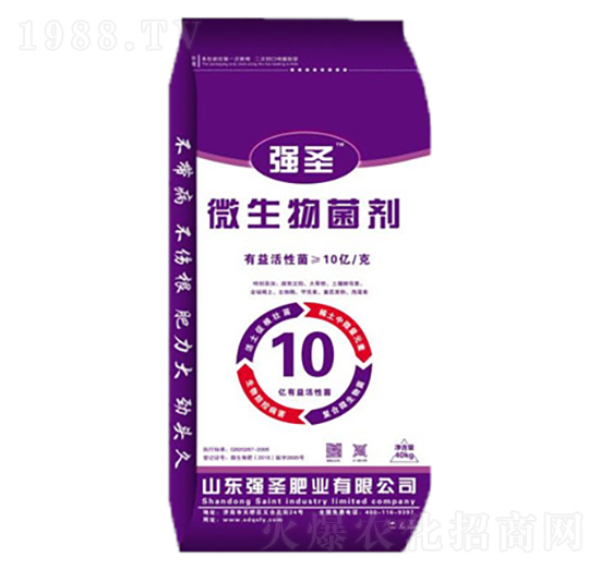 10�|΢�������-��(qi��ng)ʥ