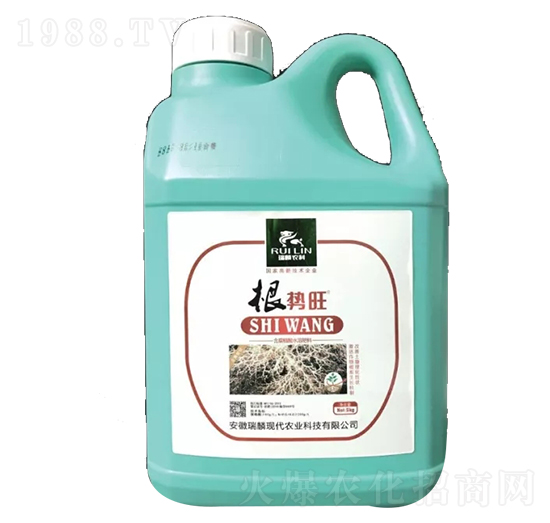 ����(sh��)��-����