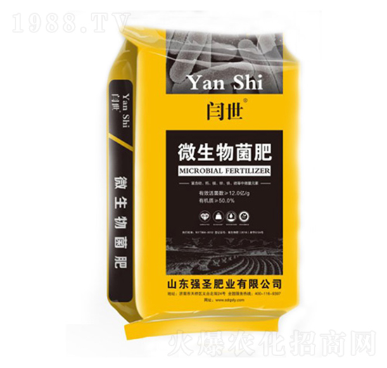 12�|΢�������-�Z��-��(qi��ng)ʥ�ʘI(y��)