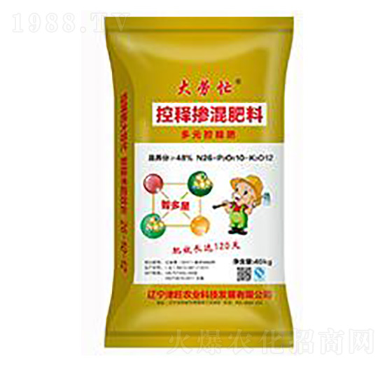 ��ጓ������-���æ-�����r�I(y��)