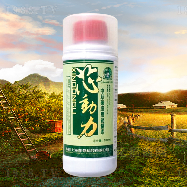 �в�ˎ����������-о����-�r��