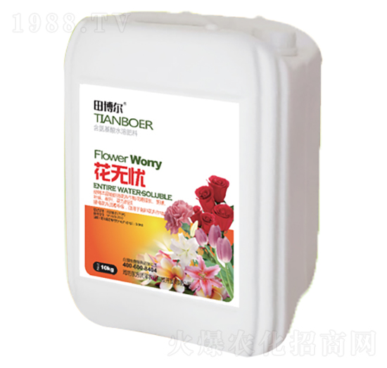 ���o�n-�|������