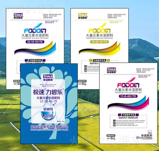 ����Ԫ��ˮ�ܷʽM��-�A�Z(li��n)��