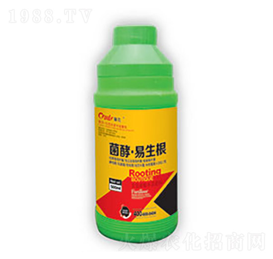 ���͡�������-�|����(r��n)��