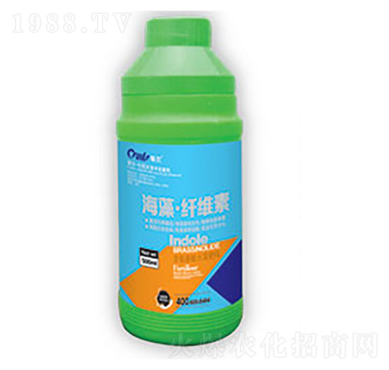 ���塤�w�S��-�|������