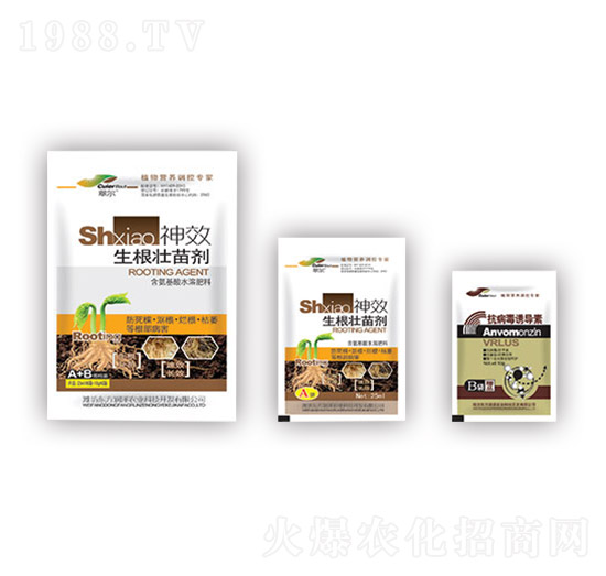 �������焩+�������T��(d��o)��-�|������