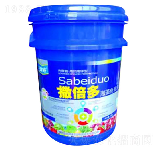 �����ຣ���~����-�|������