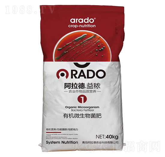 �ЙC΢�������-������