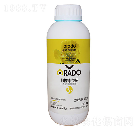 ����Ԫ�ء���-������