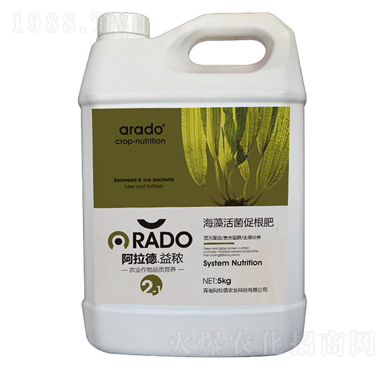 �������ٸ���-������