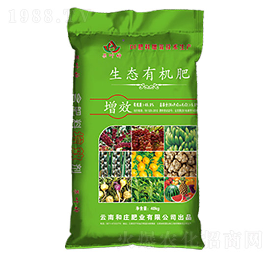 ���B(t��i)�ЙC(j��)��-���f�ʘI(y��)