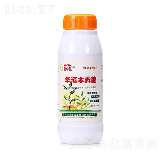 ���л�ľù��-�A�I