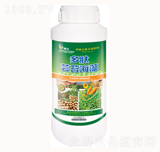 �����|̦����-���λ���