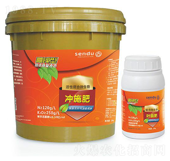 ����͏ͺ�΢�����-ɭ��