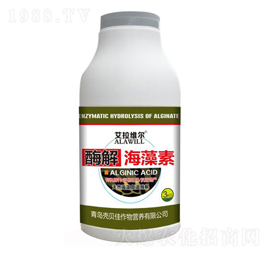 ø�⺣����-�����S��-��ؐ��