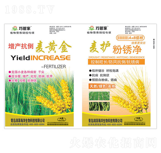 增產(chǎn)抗倒麥黃金+麥護(hù)粉銹凈-巧管家-潤(rùn)澤
